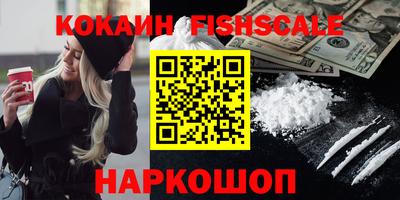 стафф Кингисепп