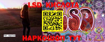 стафф Кингисепп