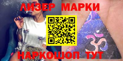 стафф Кингисепп