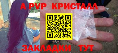 стафф Кингисепп
