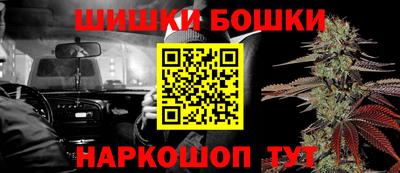 стафф Кингисепп
