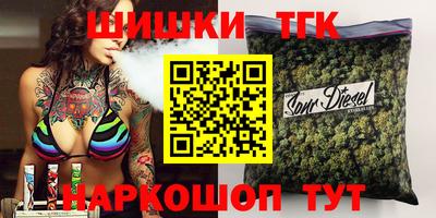 стафф Кингисепп