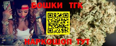 стафф Кингисепп