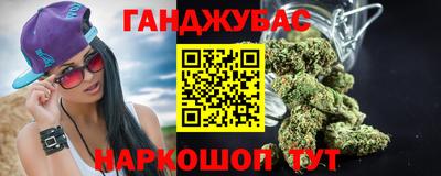 стафф Кингисепп