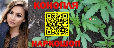 PSILOCYBIN Кимры