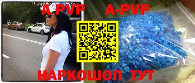 стафф Кингисепп