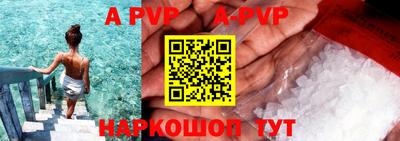 стафф Кингисепп