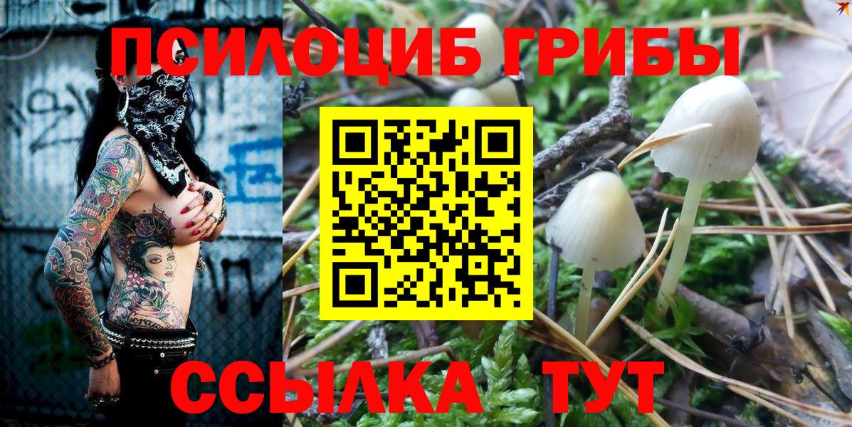 Псилоцибиновые грибы прущие грибы Курчатов