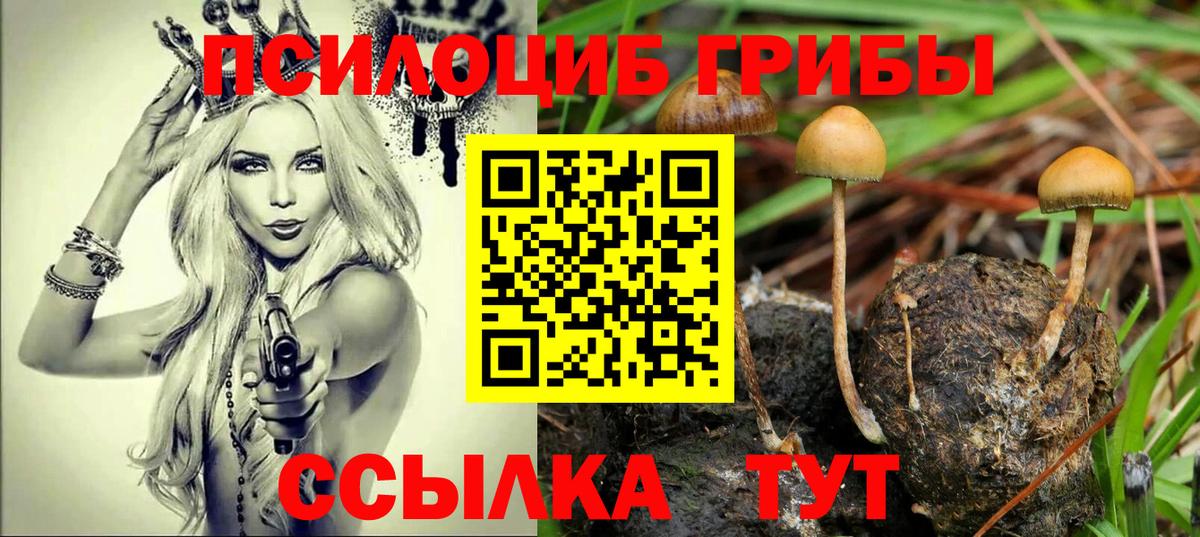 Галлюциногенные грибы Cubensis  Вход с VPN  Курчатов 