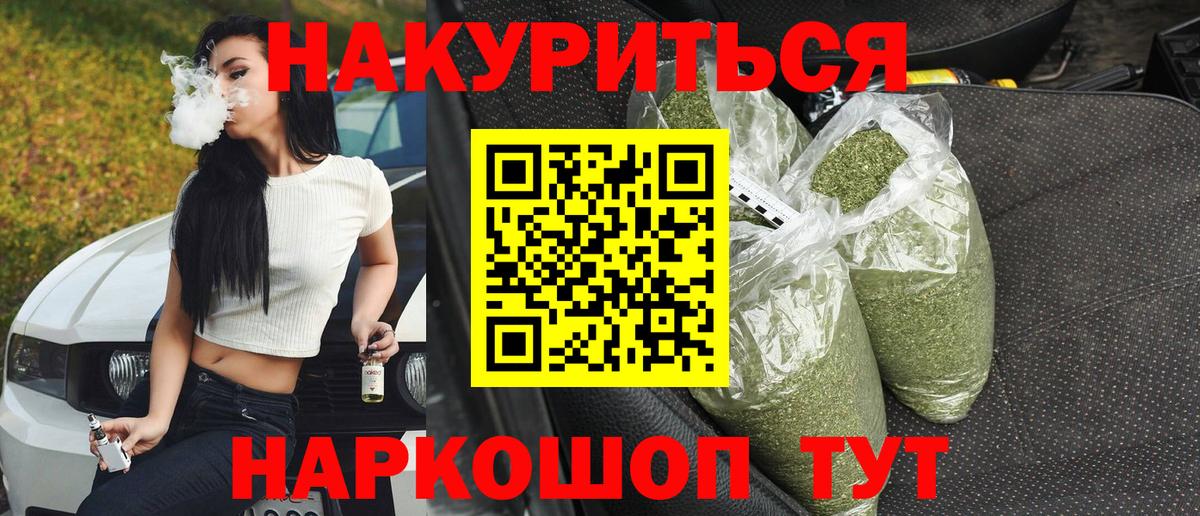 Конопля план Курчатов